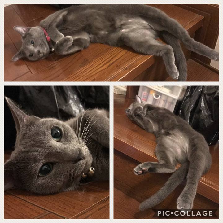 6fb95d62 da8c 4732 b646 a33d1dbc8128 1530107678393