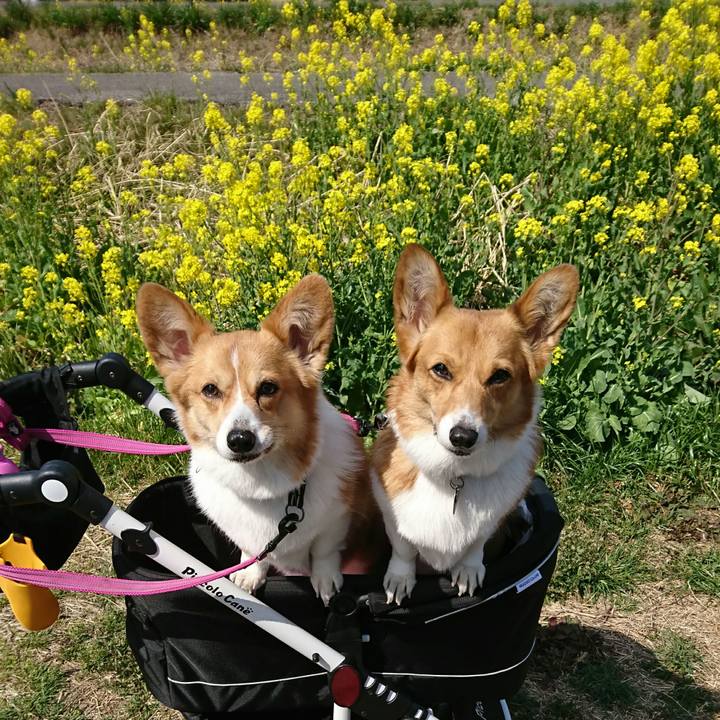 6fb99b55 8d84 4553 878c fb3376f4344b 1553652788675