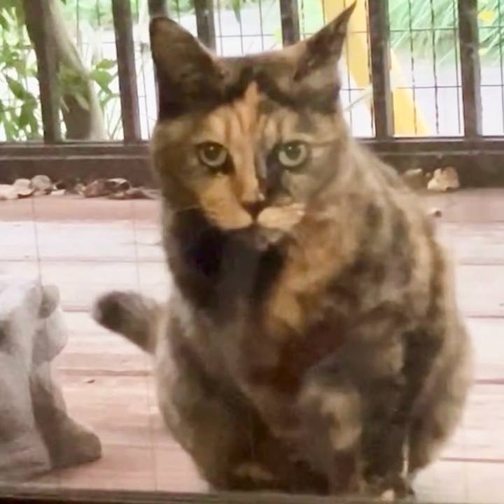 6fb9b6c6 6efd 42eb 920d 9a68c58bb44c 1731146175782