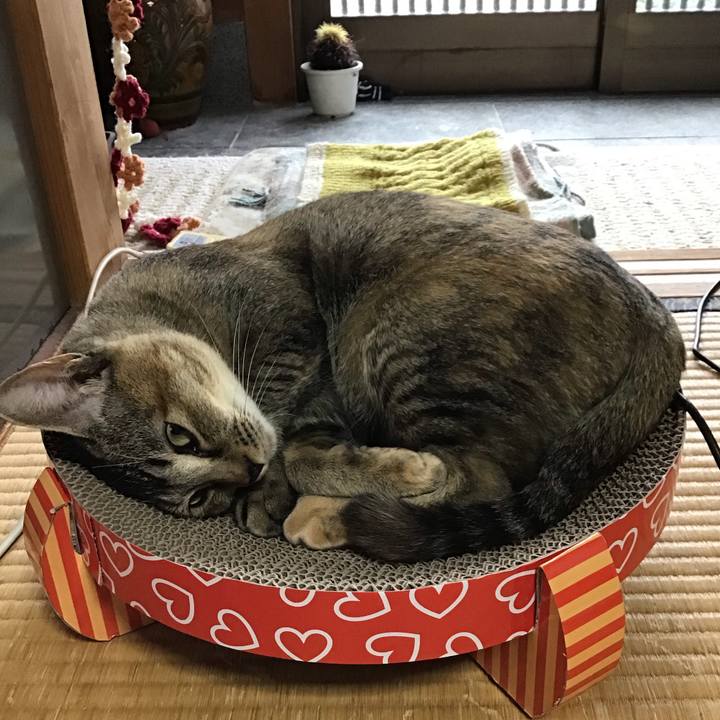 6fba01f9 fb73 4ee2 90e1 904814edada7 1574379864763