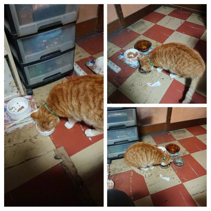 6fba0386 ec67 4c60 acbe 04f45d15333e 1586552419850