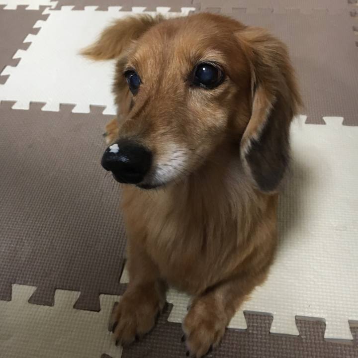 6fba21a6 b8c2 4f8c 92e0 3da181f99954 1603800353246