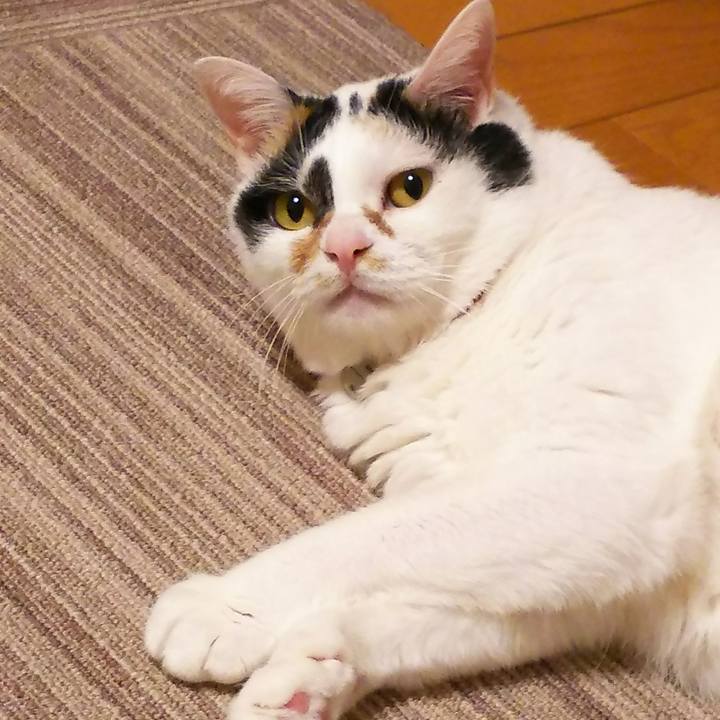 6fba55bf 331d 44ae a40d c4574d5abccf 1515246138919