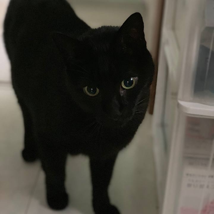 6fba824b 27fa 4f2c bf50 59b0fa51a31c 1544143899104