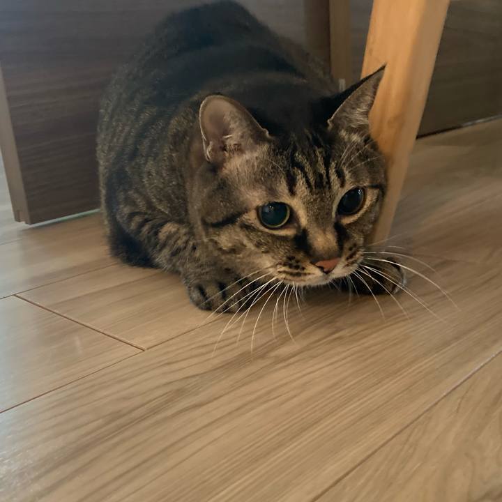 6fba8617 0afd 4af1 80ab c15f721b3e9e 1739601916245