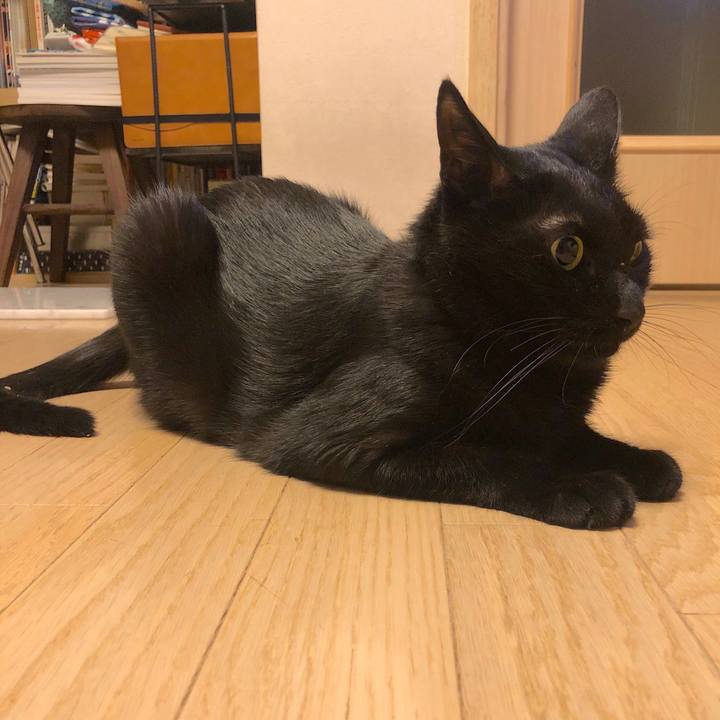 6fba86e9 5433 4c7f abbc 19d3bae3d69f 1568207151865