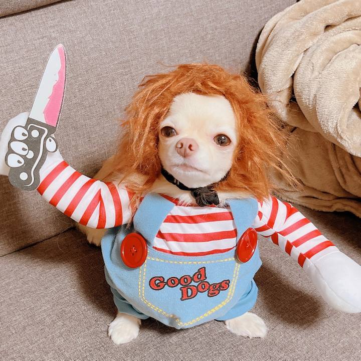 6fbaa1fe 0e6b 48d9 b007 96d087667f3a 1667288928559