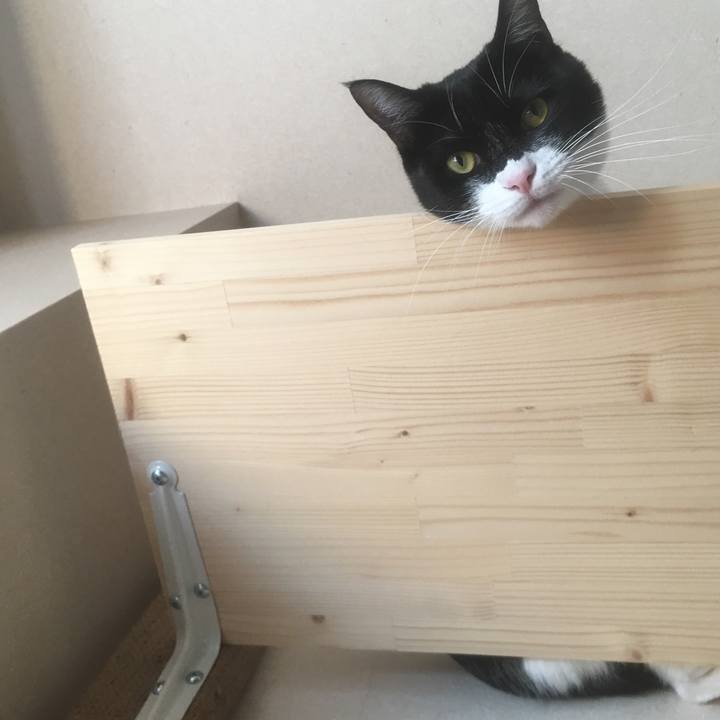 6fbae380 133b 498f 91b6 dd0a7f821dd7 1557071612578