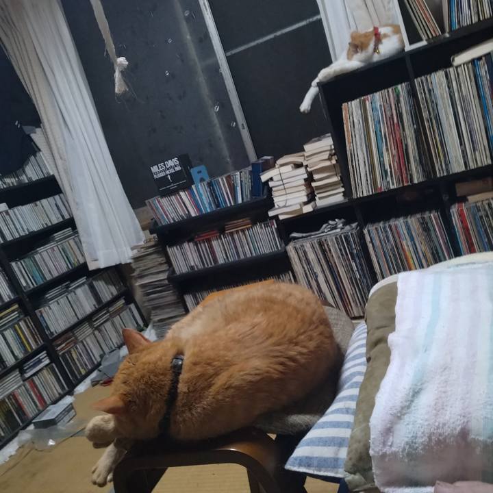 6fbaec1f 13c7 4c89 a358 4a1078c22a11 1750767605098