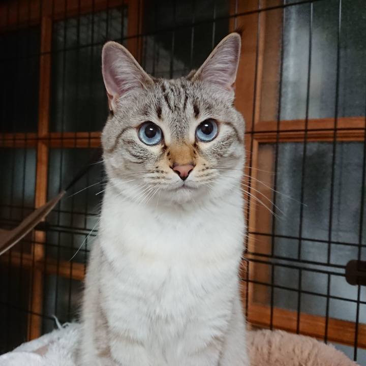 6fbb122a 1f3a 47d5 b32f 86d4ed78ce12 1585581157122