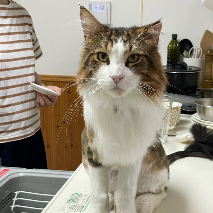 6fbb1b20 32f0 4b5f a89c 9df73a905f5c 1660255332590