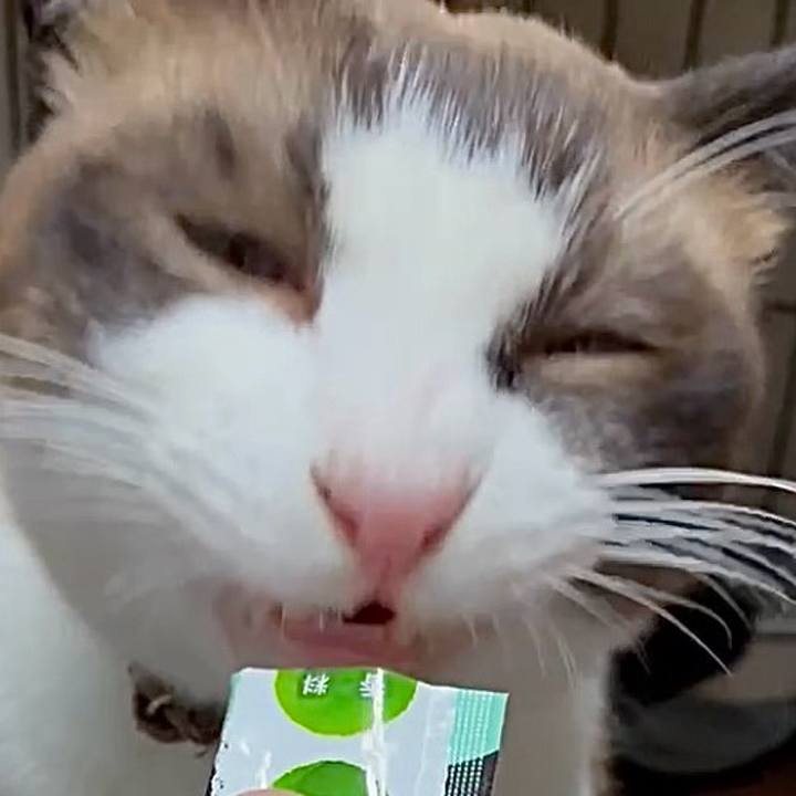 6fbb3412 d5ae 46a5 b062 6066f88d8bff 1755682696434