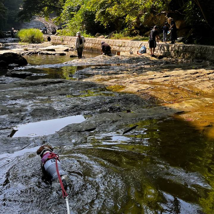 6fbb4cf9 9fa0 4090 ac29 f9dd7c001d81 1756534224404