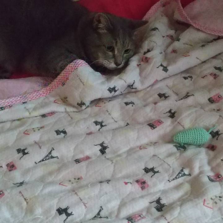 6fbb4f6d 442d 48df 9637 76c15ca35c2c 1631930470165