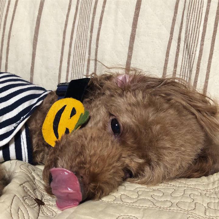 6fbb511d f005 4ec3 9239 609a074eb371 1570959369370