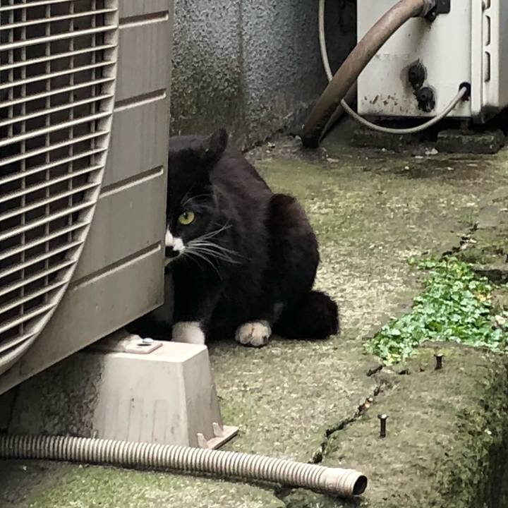 6fbb52a7 2dbe 492c 96c0 b58f6f7c4e75 1525315116941