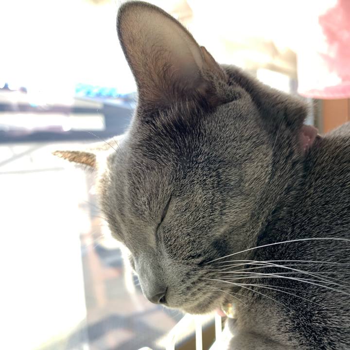 6fbb56fb 919e 4936 8224 621790d53f01 1581211758611