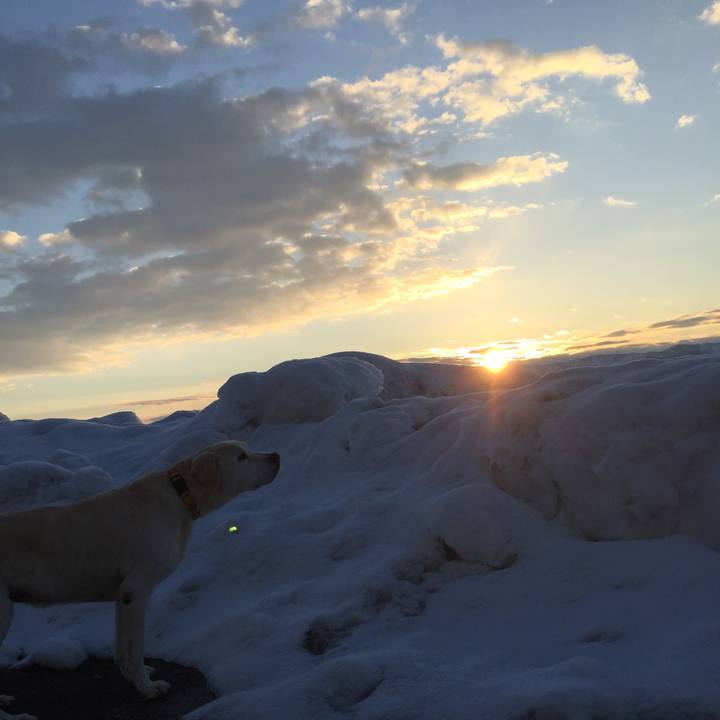 6fbb9350 ec9a 4723 ab3b 1aa5c6a41ed5 1519337190572