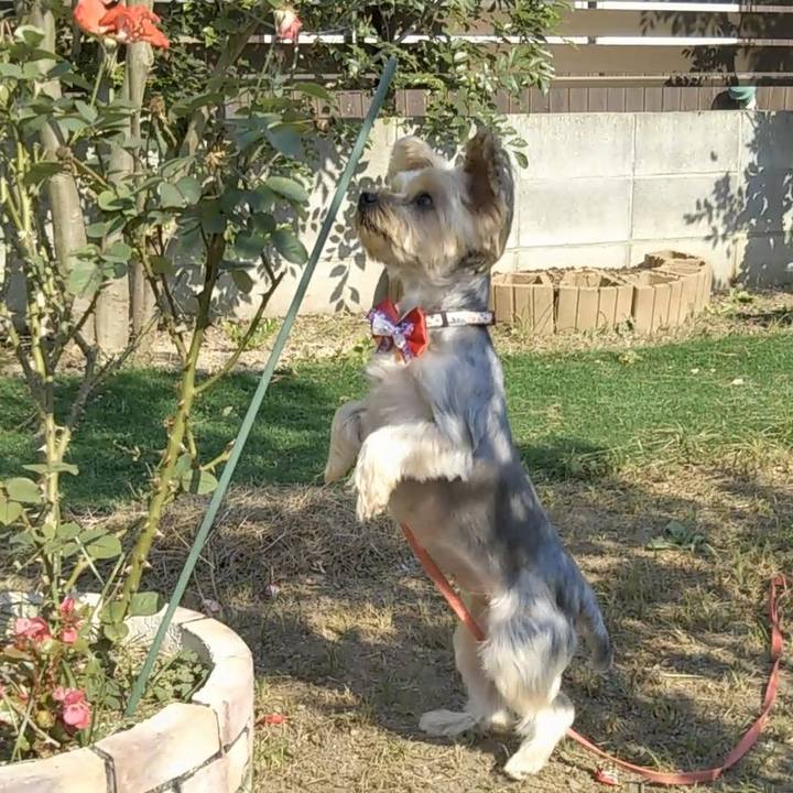 6fbb956d 4a33 4411 9fec 0735f562e160 1698056247428