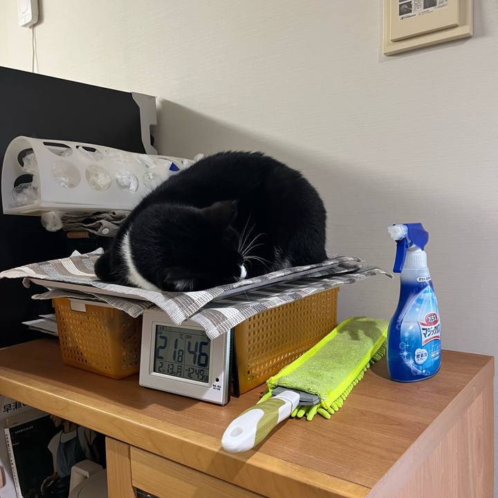 6fbba1b4 8982 4539 a6e7 d53550f2a7bb 1676331909449