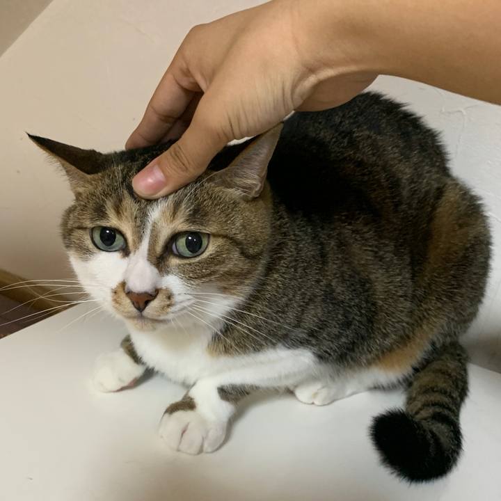 6fbbca79 adb9 4861 adfe 57fb67bf1de1 1649853396605