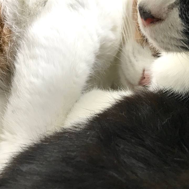 6fbbfd24 aac5 49c0 abd5 46cbe2287ddd 1571105794879