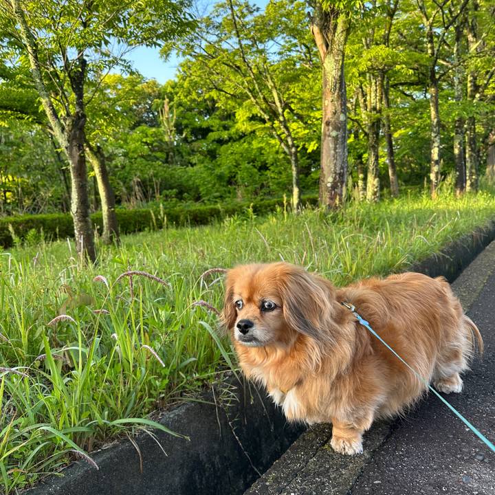 6fbc03a4 5b2c 41d5 9320 38a688800af8 1746734600234