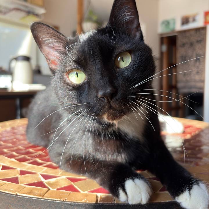 6fbc5428 1427 47ed b8f9 973e7ce72f99 1767248528633