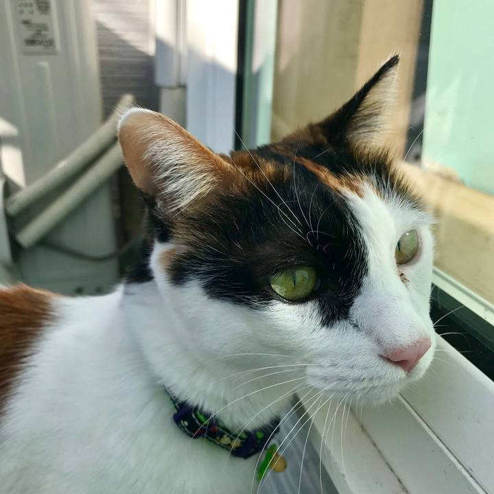 6fbcc128 098f 4816 b9ec d21db166e4d0 1512266473291