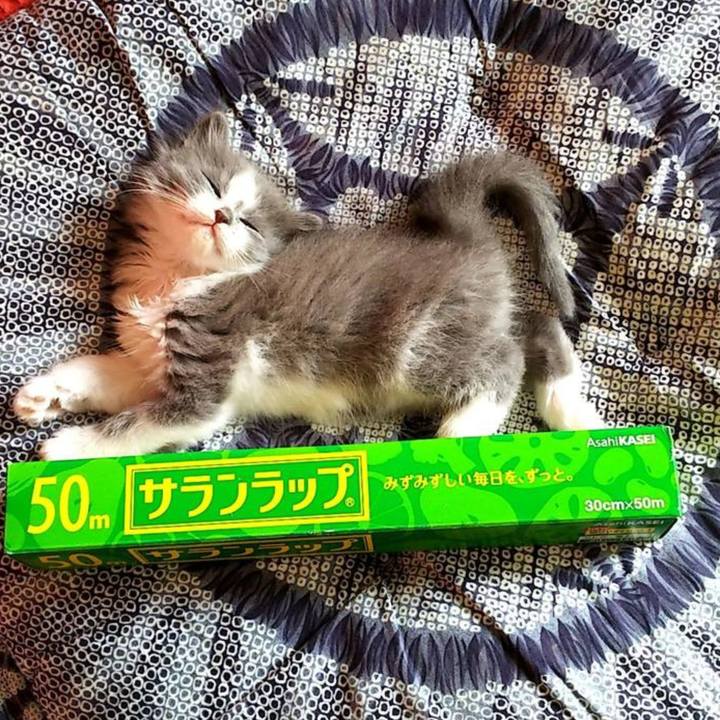 6fbcc129 0e34 451f 9938 ebabb116e370 1585221899011