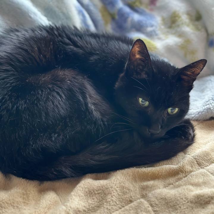 6fbcd688 9b6c 4b07 ae4b b64325c873cc 1702688896706