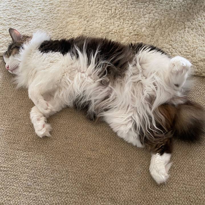 6fbd2932 538c 440c 971c 2cf461d98687 1663194058181