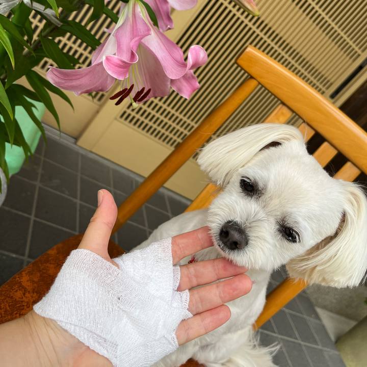 6fbd5b09 83e1 41a7 8e56 d8e4fbcca39d 1687505030011