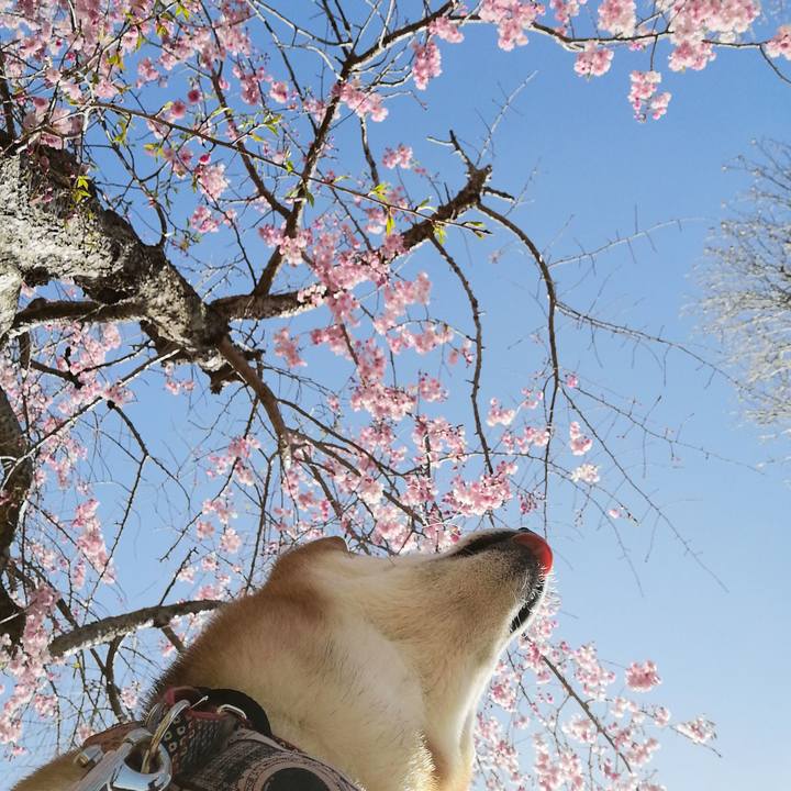 6fbd9a30 ff0c 465a 9eb9 f8eda4bb59ab 1585790678000