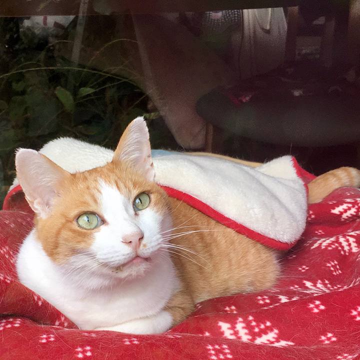 6fbdaea9 09ef 4418 ac4b 4cb06122f73e 1571897977330