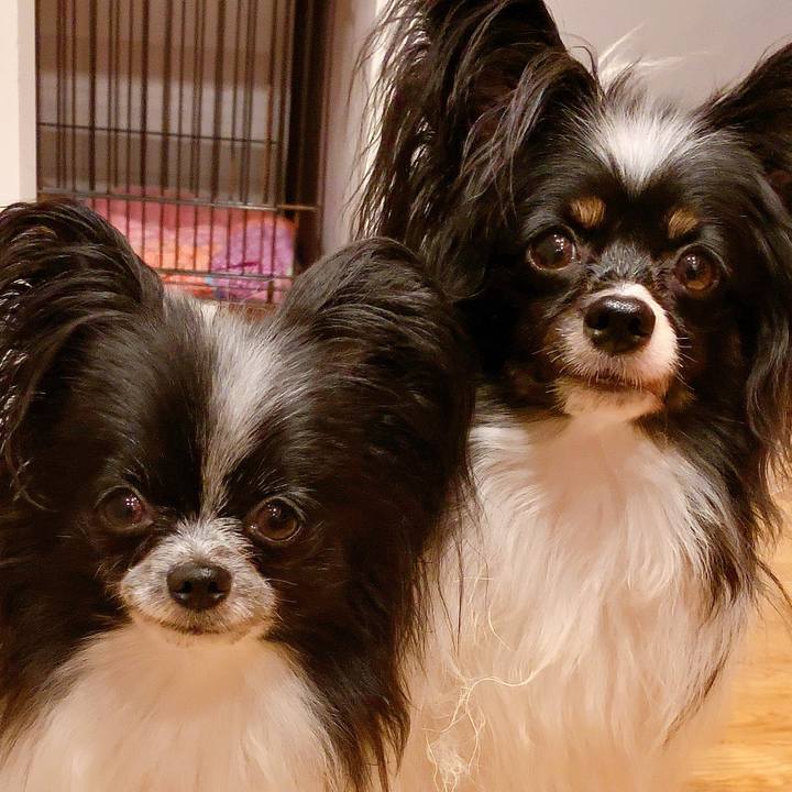 6fbdd729 6032 4c9b a8ed 09779582c988 1562766788286