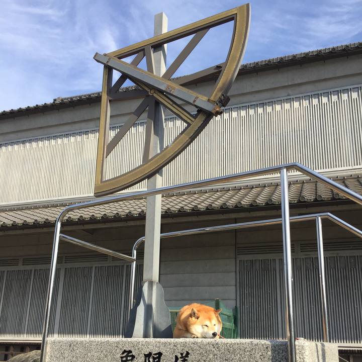 6fbdf920 2c50 44b0 9c82 c4b8de0c3cbc 1551220189095