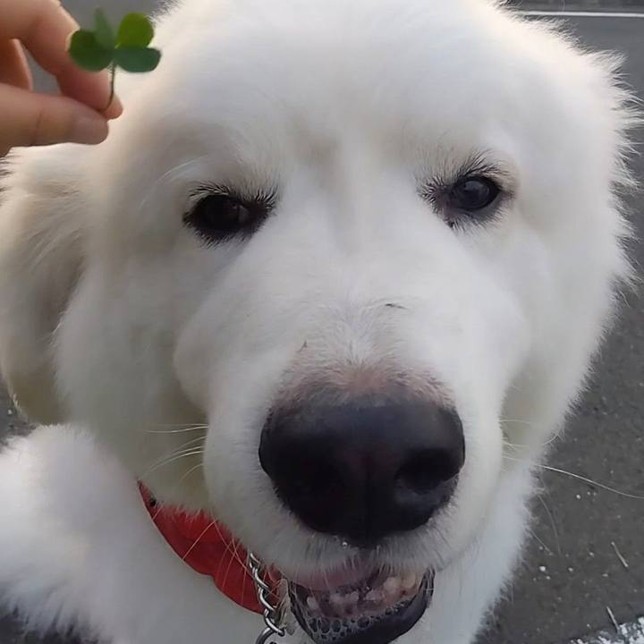 6fbe0097 665b 4d58 8a79 46cc4bd2e68b 1689721807422