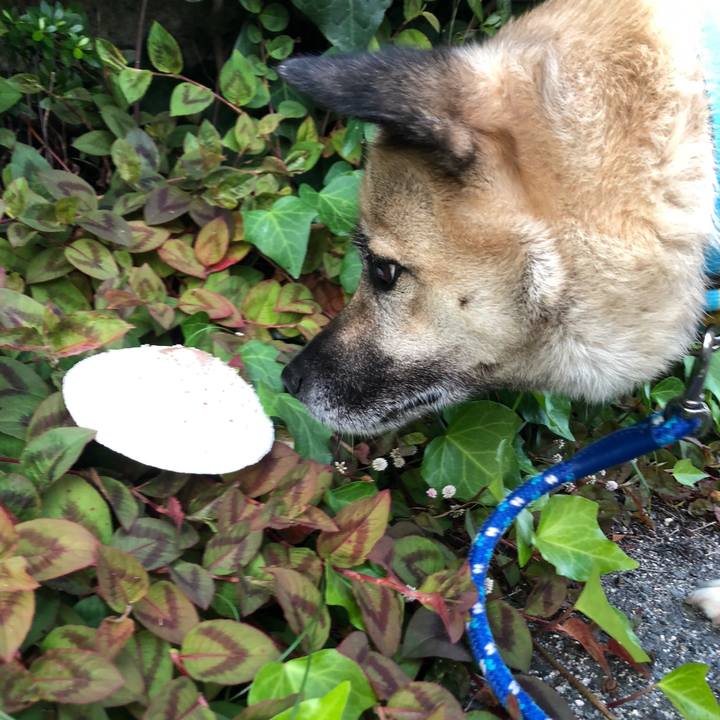 6fbe1305 ad5e 4108 809a 01da89aaad49 1624536340906