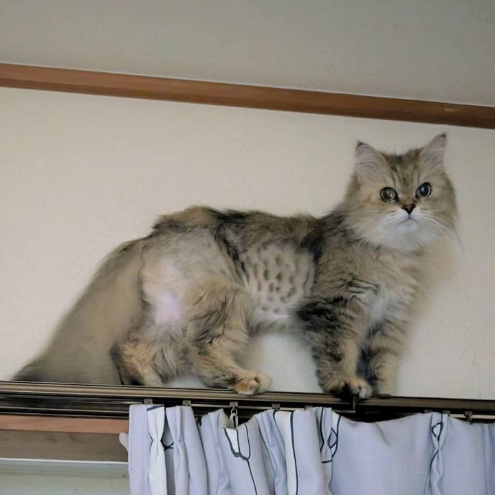 6fbe18e2 159e 4b36 b61d 7792c1d5aebb 1718198641786