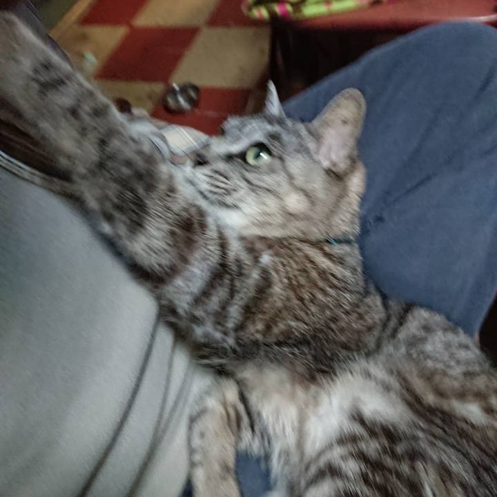 6fbe3345 f0fc 49e1 b6e0 23e45d40b4ab 1571034142467