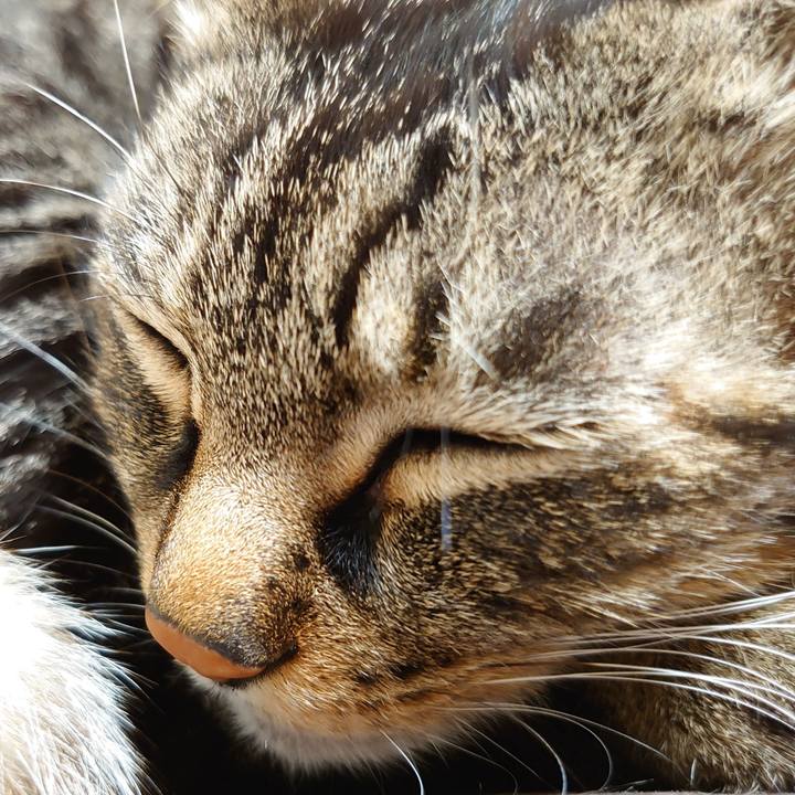 6fbe342f 1984 4a95 9e7b 3f3f6eb34227 1613736733133