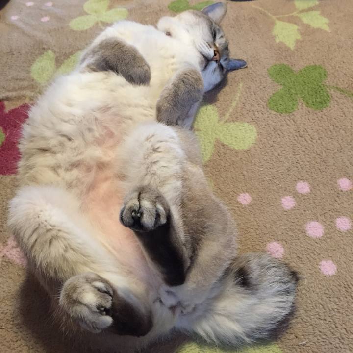 6fbe3765 f0fb 401e b159 4f454112553b 1525221194613