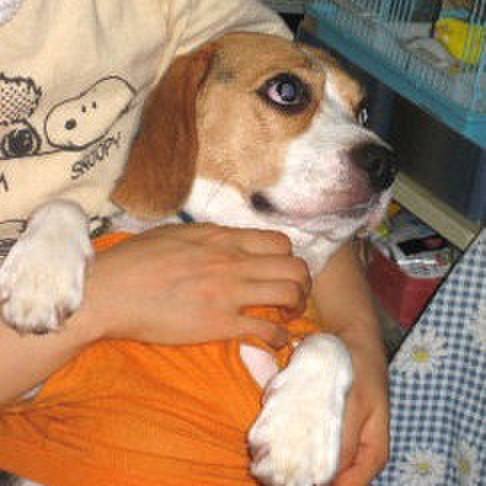 6fbe4a2e 2d3e 48a9 be72 40e1b544ba4e 1672384296277