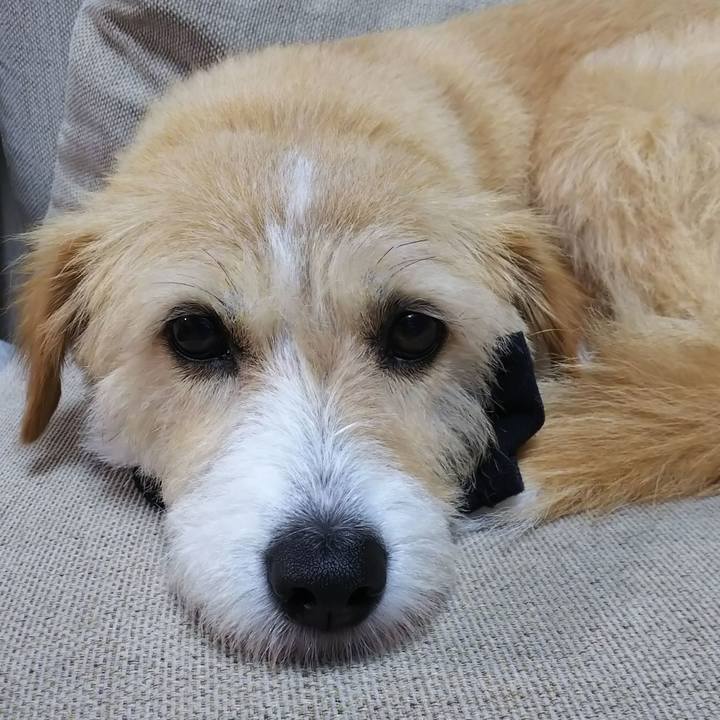 6fbe4c93 4671 48ed b6e6 3f195f3bed97 1562585458225