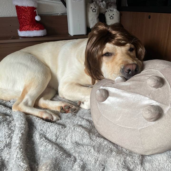 6fbeaeea 978a 43ef 967a b57df39b0387 1671758861337