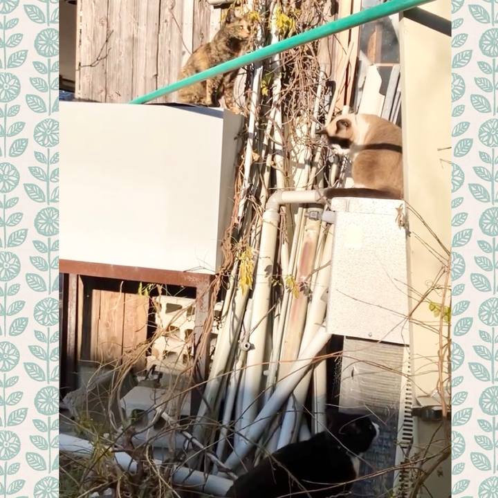 6fbeb823 684e 4864 9e9d 5b4a4323e52c 1735630637944