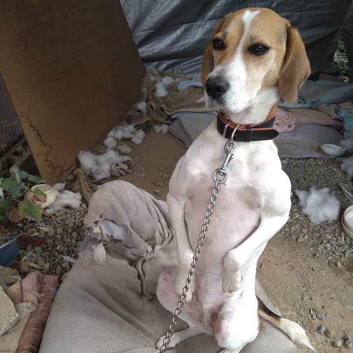 6fbebfe8 097e 41cd 98c9 caaffa0bb625 1635311848263