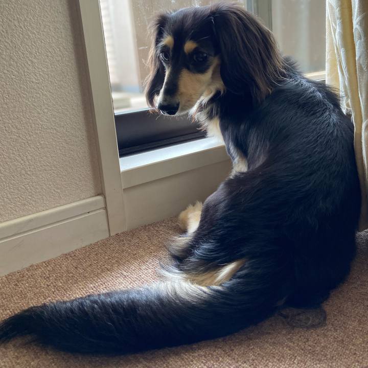 6fbed7b9 838d 44cc 98f9 808a1a4034d8 1716351198319