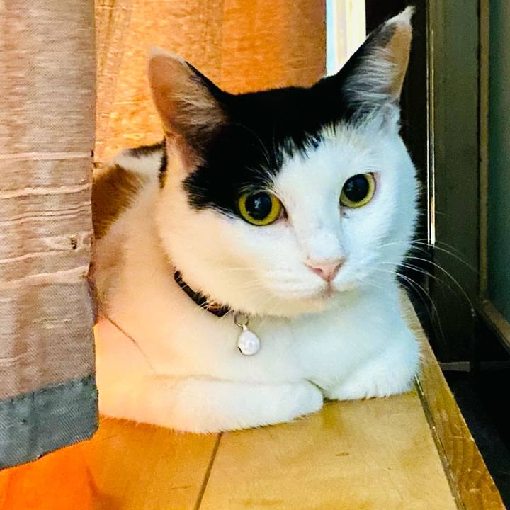 6fbee3c4 00fd 4354 a389 63f20e59067a 1657373890819